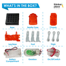 Load image into Gallery viewer, DIY Robotic Beetle - Learn about Robots