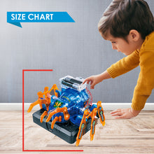 Load image into Gallery viewer, DIY Robotic Spider - Learn about Robots