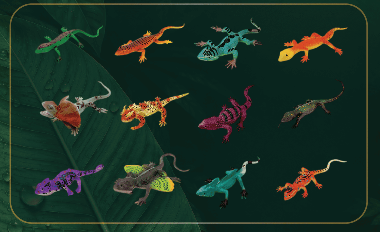Learn about Lizards